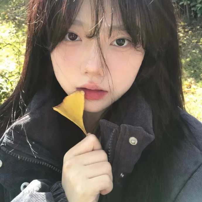 情歌恋曲