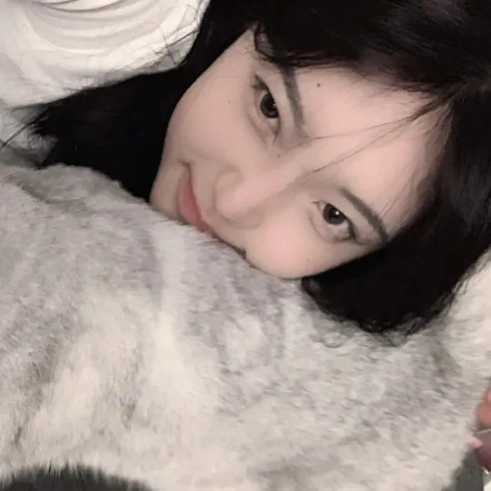 我的导演梦